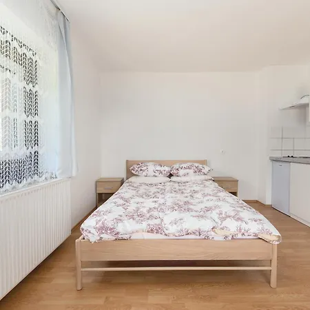 Apartment Apartmaji Trstenjak Ratece